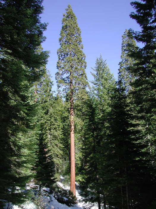 2001