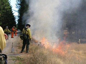 Prescribed fire at Dolason Prairie. National Park Service Photo 