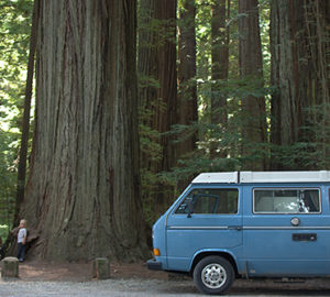 Donate your car to help save redwoods. Photo by Nicolas Boullosa, Flickr Creative Commons