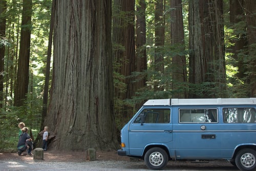 Donate your car to help save redwoods. Photo by Nicolas Boullosa, Flickr Creative Commons