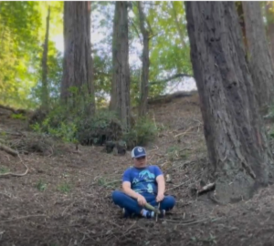Autistic boy finds sanctuary in sequoias