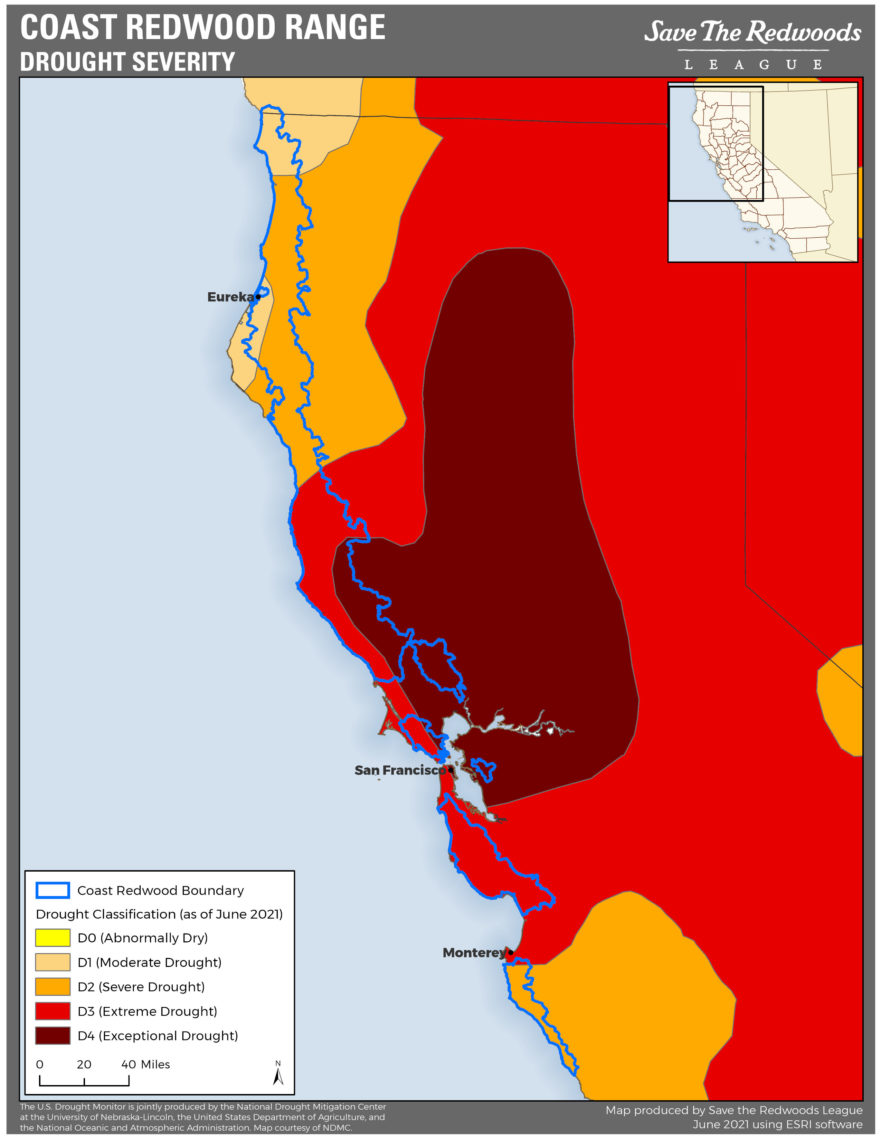 Map of drought severity in coast redwood range