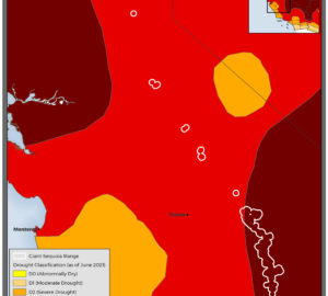 Map of drought severity in giant sequoia range