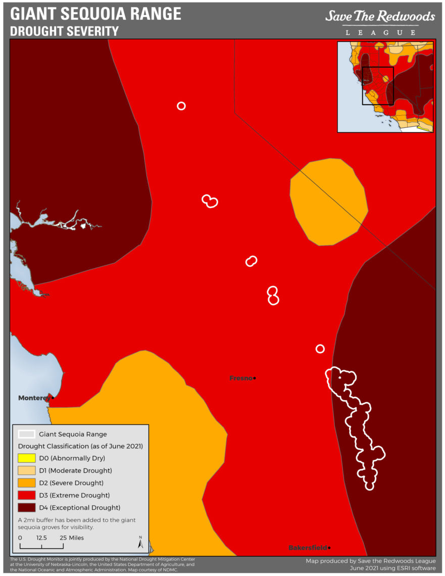 Map of drought severity in giant sequoia range