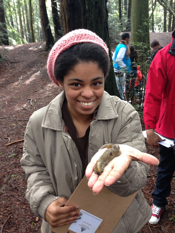 Happy Environmental Education Week! | Save the Redwoods League