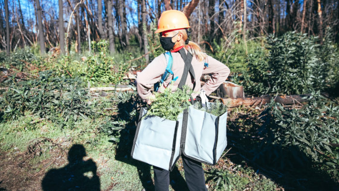 A woman wearing a hard hat and a pack of tree seedlings