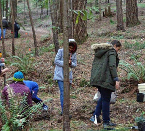 The unique aspect of LandPath's program is the multiple visits the students make to the same sight, each visit with a slightly different focus. Students shared their feelings of being in the forest with phrases such as, "this place is beautiful", "I feel so happy here", and "these trees are amazing."