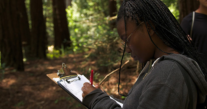 Student in the Redwoods