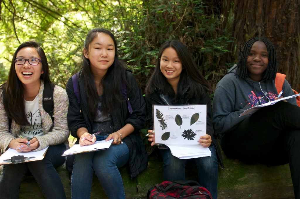 Education_students in the redwoods