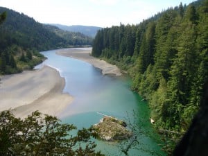 The Eel River, which snakes along the Avenue of the Giants in Humboldt Redwoods State Park, has dozens of secluded and scenic swimming spots. Photo courtesy HRSP/Redwoods.info.