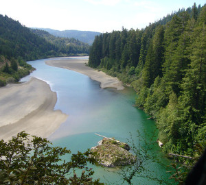 The Eel River, which snakes along the Avenue of the Giants in Humboldt Redwoods State Park, has dozens of secluded and scenic swimming spots. Photo courtesy HRSP/Redwoods.info.