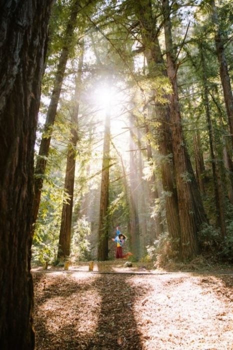 A multiracial woman wearing maroon pants and a brightly colored jacket jumping in a sunny and bright redwoods forest.