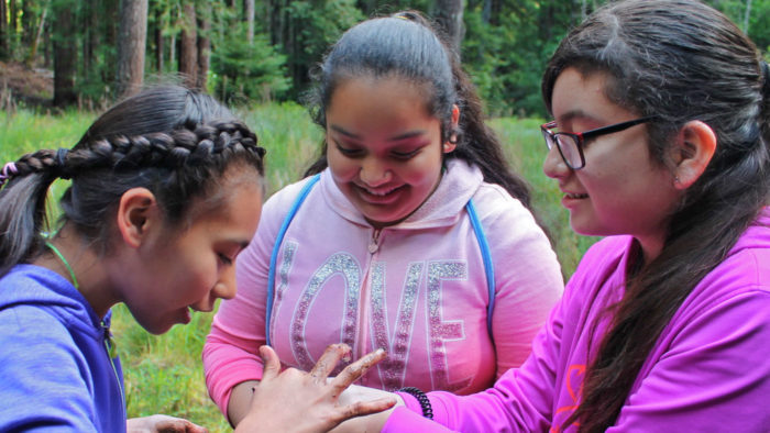 Group of girls studying the redwoods