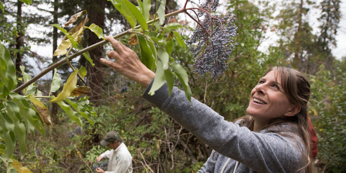 Parks Program Manager, Jessica Neff, helps lead a tour of Craig Ranch near Sequoa National Park.  Photo by Paolo Vescia