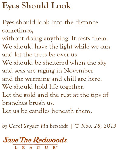 Eyes Should Look by Carol Snyder Halberstadt