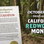 October 2018 proclaimed California Redwoods Month by Gov. Brown.