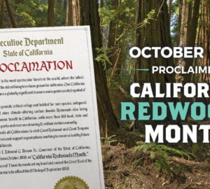 October 2018 proclaimed California Redwoods Month by Gov. Brown.