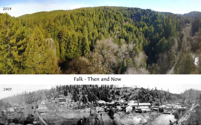 A split photo of the same landscape contrasts a lush redwood forest circa 2019 with a sprawling logging town circa 2019.