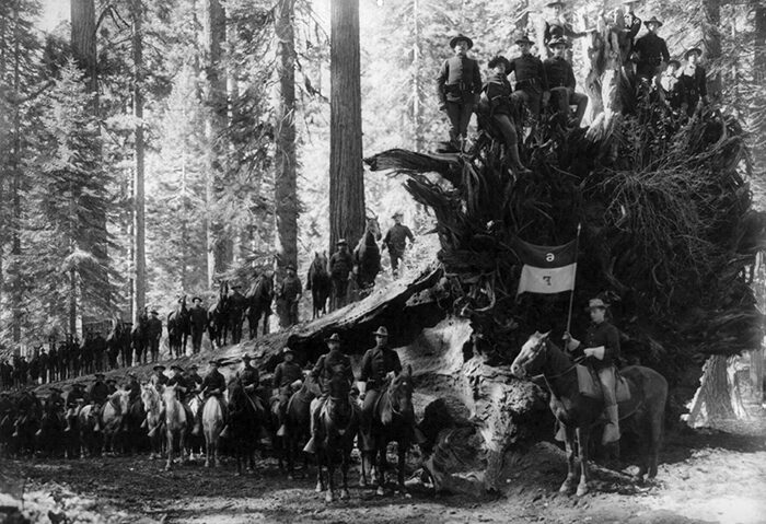 Fallen Monarch Cavalry