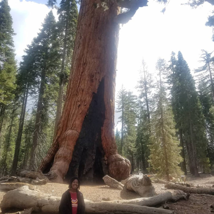 A Black woman stands in front of a giant sequoia tree with a basal hollow in its trunk, logs on the ground, and more trees in the background