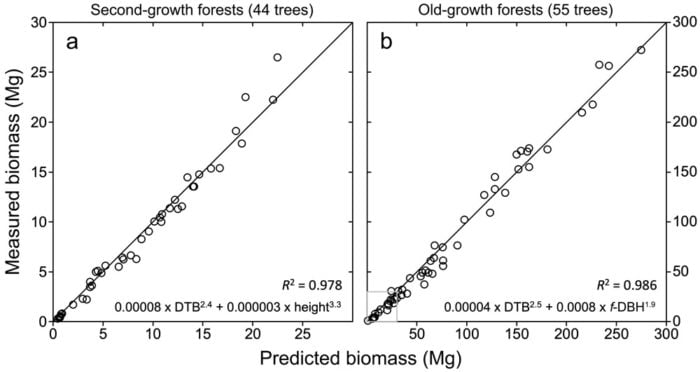 FIGURE 2: MEASURED AND PREDICTED BIOMASS