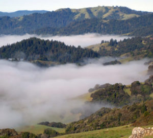 French Ranch Open Space Preserve