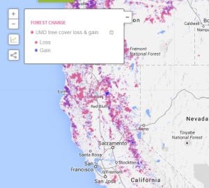 With Global Forest Watch, you can check out the state of forests all over the world -- including the redwoods!