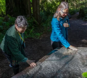 Two people feel a relief map in the foreground. A redwood forest is in the background.