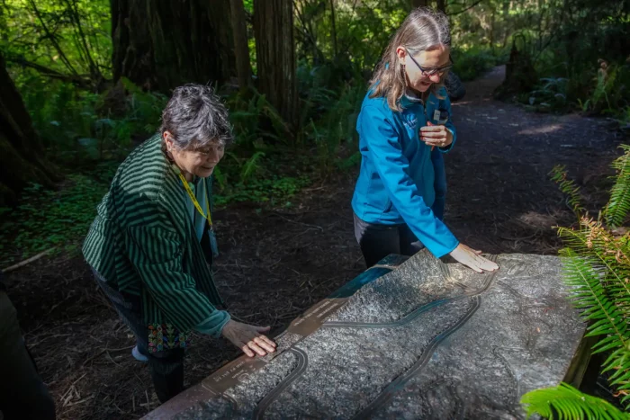 Two people feel a relief map in the foreground. A redwood forest is in the background.