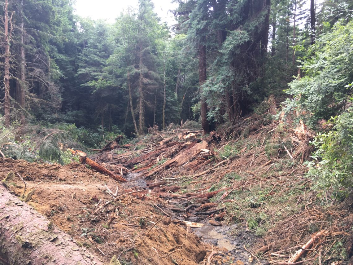 A buried stream channel surrounded by trees.