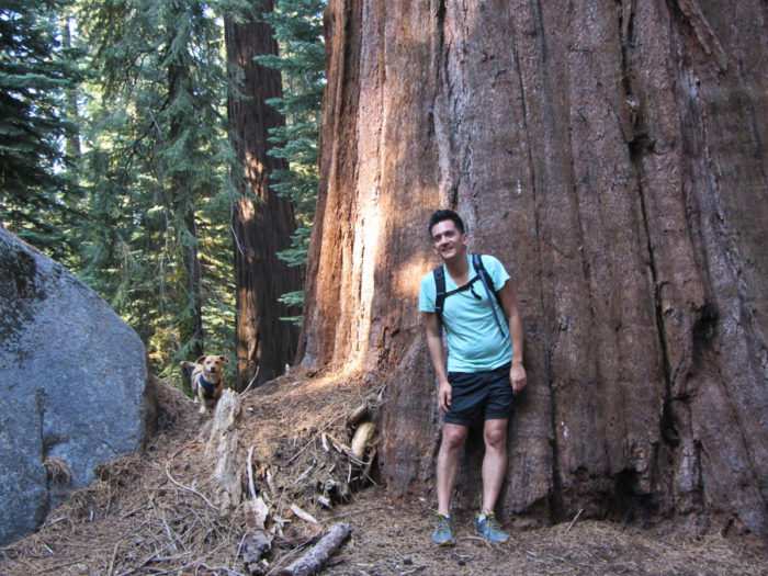 Man and dog in the redwoods