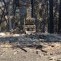 Burned down Gatehouse. © California State Parks, all rights reserved (2020)
