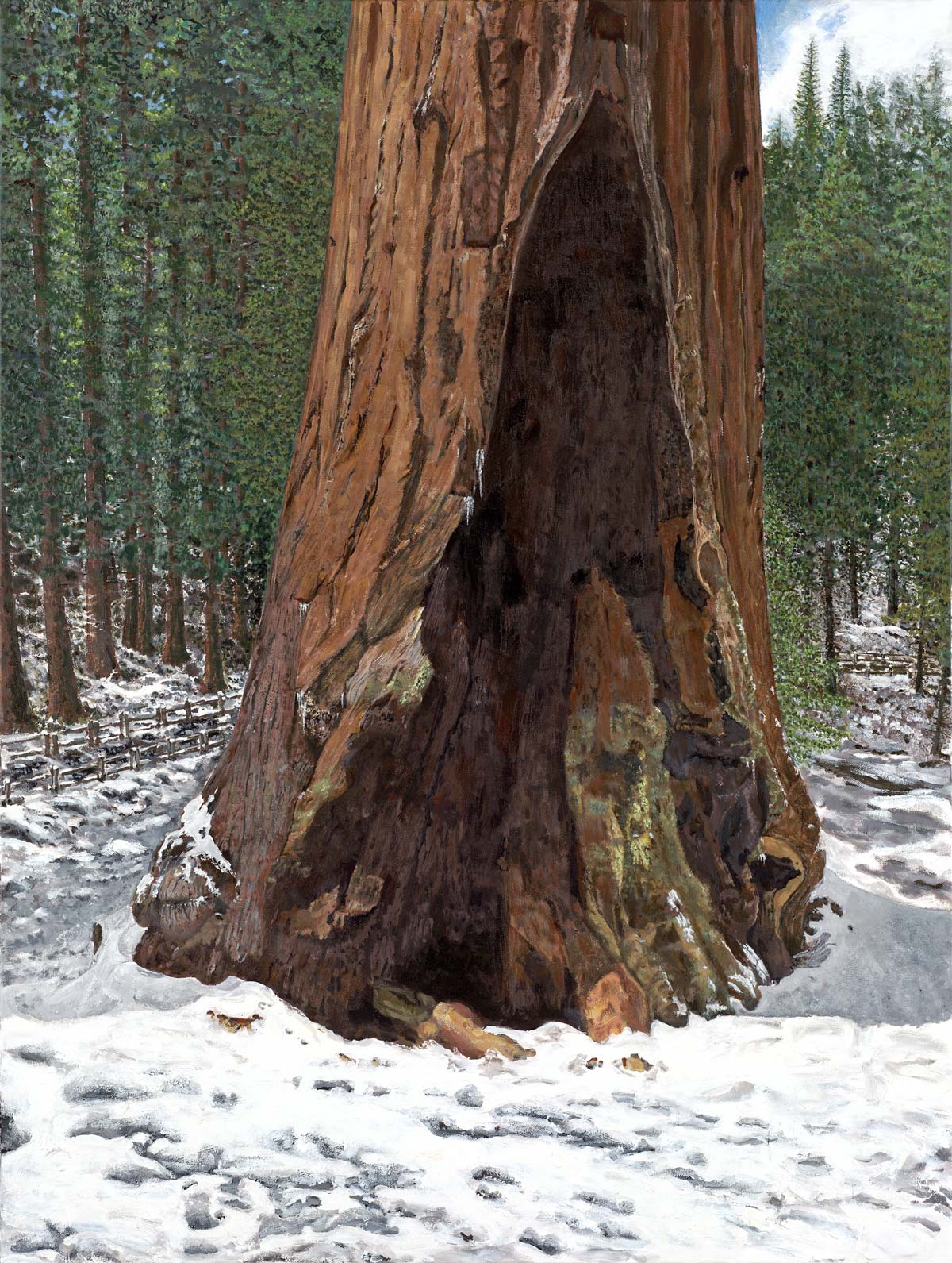 General Grant Redwood Tree in Winter oil painting by David Saunders