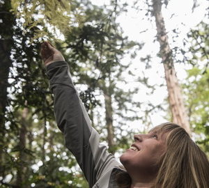 Emily Burns, PhD, League's former Director of Science, reaches for the captivating cream-colored needles of an albino sprout growing out of a redwood. “It lacks chlorophyll, so it’s white, and it’s caused by a mutation on that particular sprout’s DNA,” she said. Further genomic research could confirm hypotheses that albino sprouts are more than parasites. It’s clear that the deeper we go into the redwood genome, the more we’ll know. Photo by Paolo Vescia