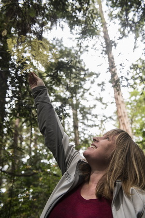 Emily Burns, PhD, League's former Director of Science, reaches for the captivating cream-colored needles of an albino sprout growing out of a redwood. “It lacks chlorophyll, so it’s white, and it’s caused by a mutation on that particular sprout’s DNA,” she said. Further genomic research could confirm hypotheses that albino sprouts are more than parasites. It’s clear that the deeper we go into the redwood genome, the more we’ll know. Photo by Paolo Vescia