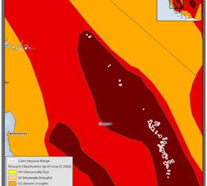 sequoia drought map 6/23/22