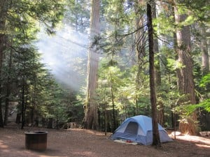 You can still pitch your tent at Calaveras Big Trees State Park, among many others. Photo by bubbletea1, Flickr Creative Commons. 