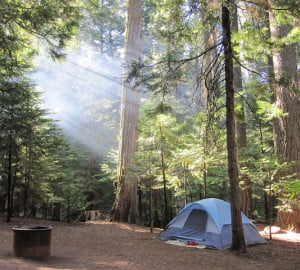 Don't miss out on camping in the redwoods just because you don't have a res. Photo by bubbletea1, Flickr Creative Commons. 