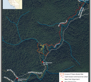 Grove of Titans trail map, 09-10-21