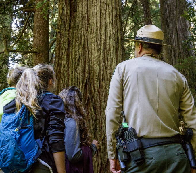California State Parks Acting Sector Superintendent Brett Silver explains the importance of protecting the grove to a group of visitors. Photo by Max Forster, @maxforsterphotography.