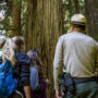 California State Parks Acting Sector Superintendent Brett Silver explains the importance of protecting the grove to a group of visitors. Photo by Max Forster, @maxforsterphotography.