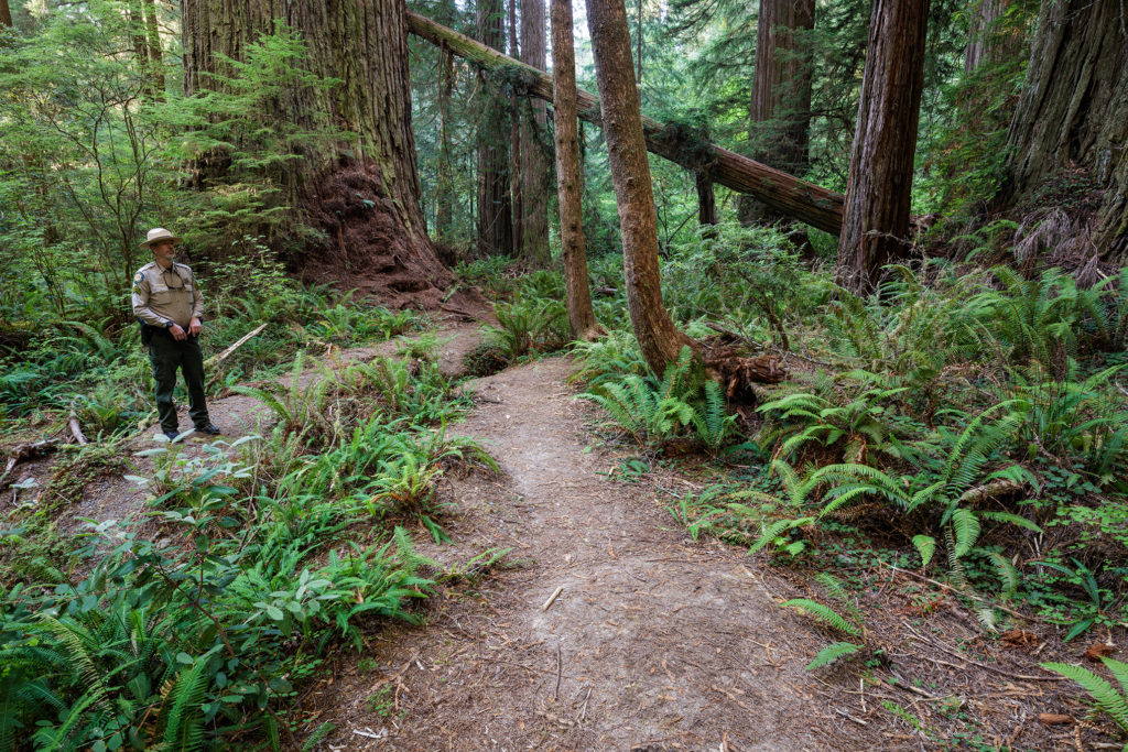 Visitors who ventured off of the park’s official trails have created this large patch of compacted bare soil. Photo by Max Forster, @maxforsterphotography.