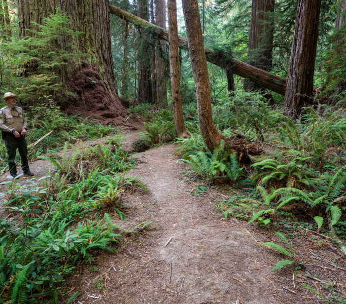 Visitors who ventured off of the park’s official trails have created this large patch of compacted bare soil. Photo by Max Forster, @maxforsterphotography.