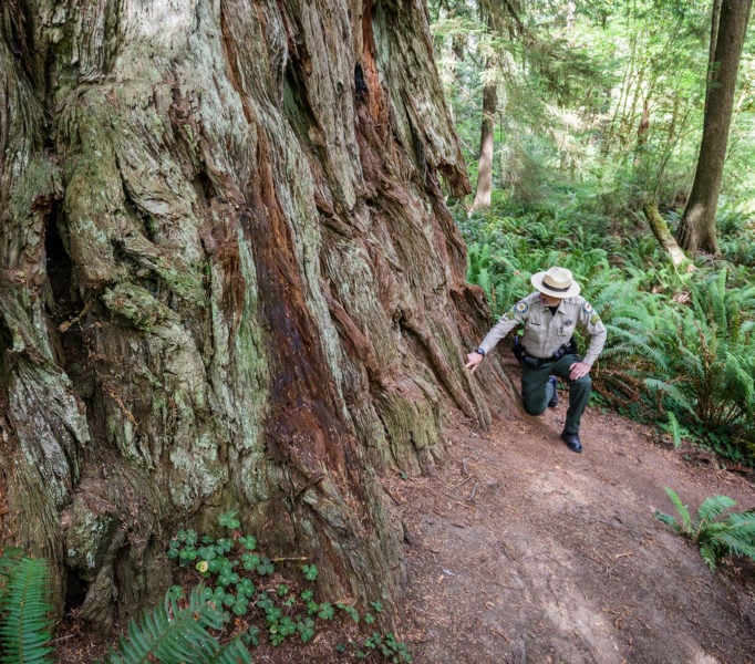 Brett Silver, California State Parks Acting Sector Superintendent, points to the location that forest vegetation should cover.  Photo by Max Forster, @maxforsterphotography.
