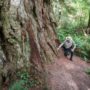 Brett Silver, California State Parks Acting Sector Superintendent, points to the location that forest vegetation should cover.  Photo by Max Forster, @maxforsterphotography.