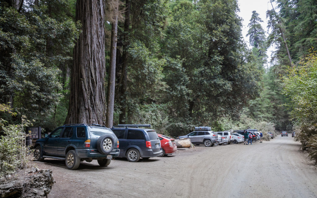 During the peak summer season, some 13,000 cars per month travel along Howland Hill Road, the main auto access to the Grove of Titans. Photo by Max Forster, @maxforsterphotography.