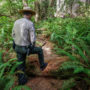 Nurse log is crushed by heavy trampling on denuded “social” trail. Photo by Max Forster, @maxforsterphotography.