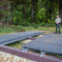 Brett Silver, California State Parks Acting Sector Superintendent, stands on design samples for the elevated walkway which will provide visitor access to the Grove of Titans while protecting the sensitive habitat. Photo by Max Forster, @maxforsterphotography.