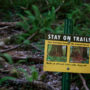 Visitors are asked to walk on designated trails in order to prevent the damage caused by “social” trails. Photo by Max Forster, @maxforsterphotography.