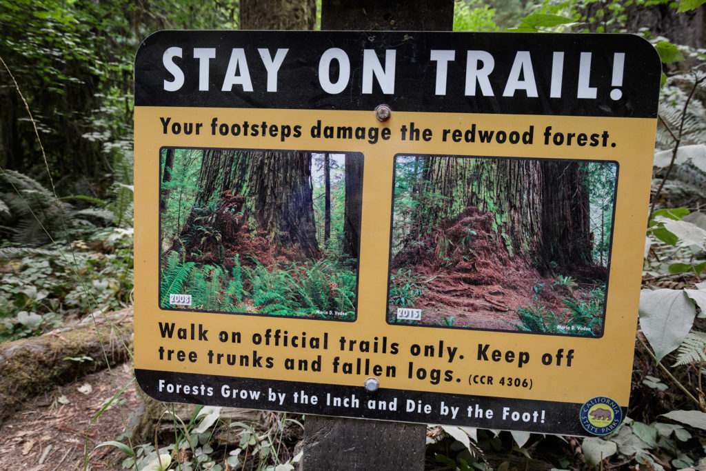 Visitors are asked to walk on designated trails in order to prevent the damage caused by "social" trails. Photo by Max Forster, @maxforsterphotography.